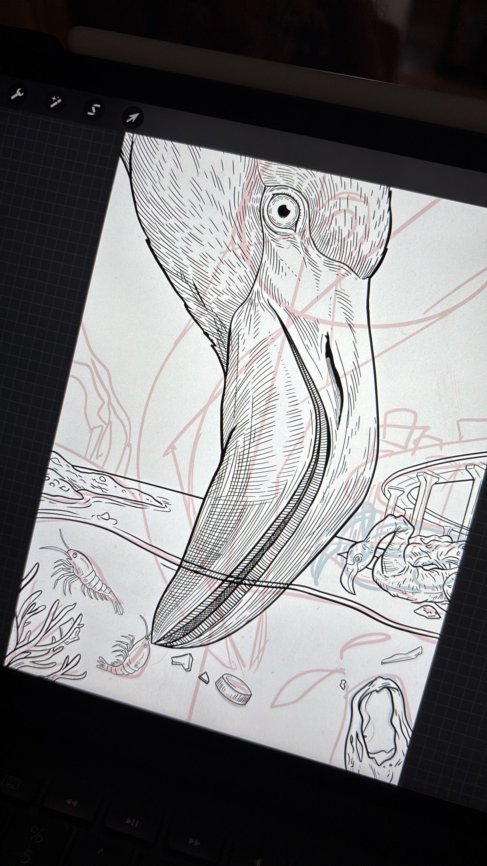 Early stage in Procreate